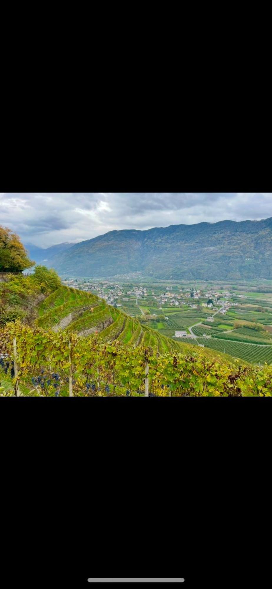 ホテル Ca Marasciol A 5 Minuti Dal Trenino Rosso Del Bernina Express ヴィッラ・ディ・ティラーノ エクステリア 写真